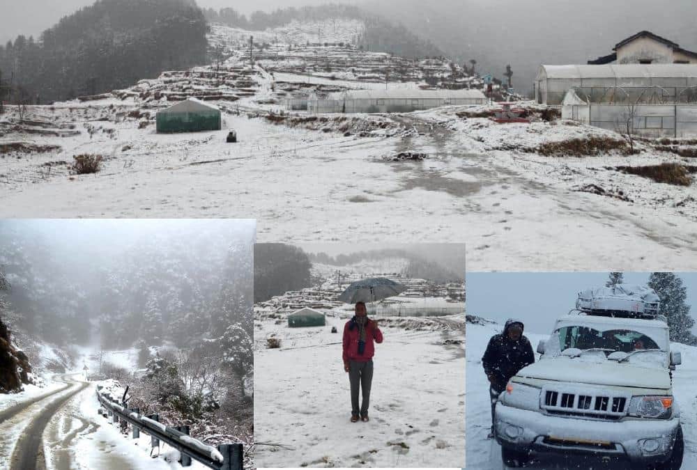 Snowfall In Mussoorie, Dhanaulti, nainital and Char dham Today, See Awesome visuals