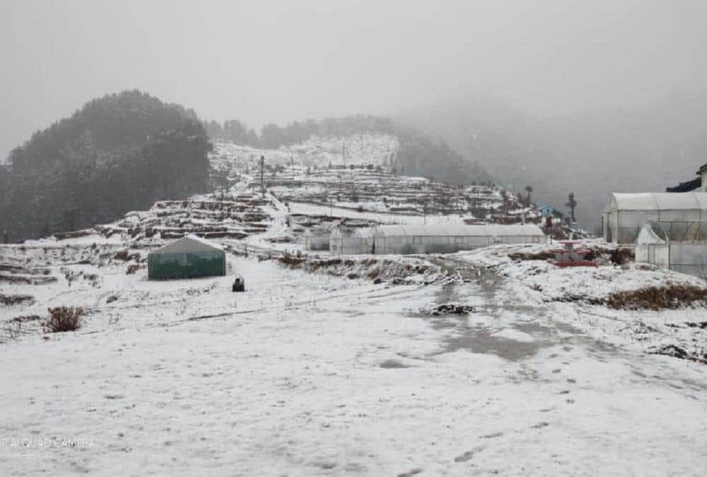 Snowfall In Mussoorie, Dhanaulti, nainital and Char dham Today, See Awesome visuals