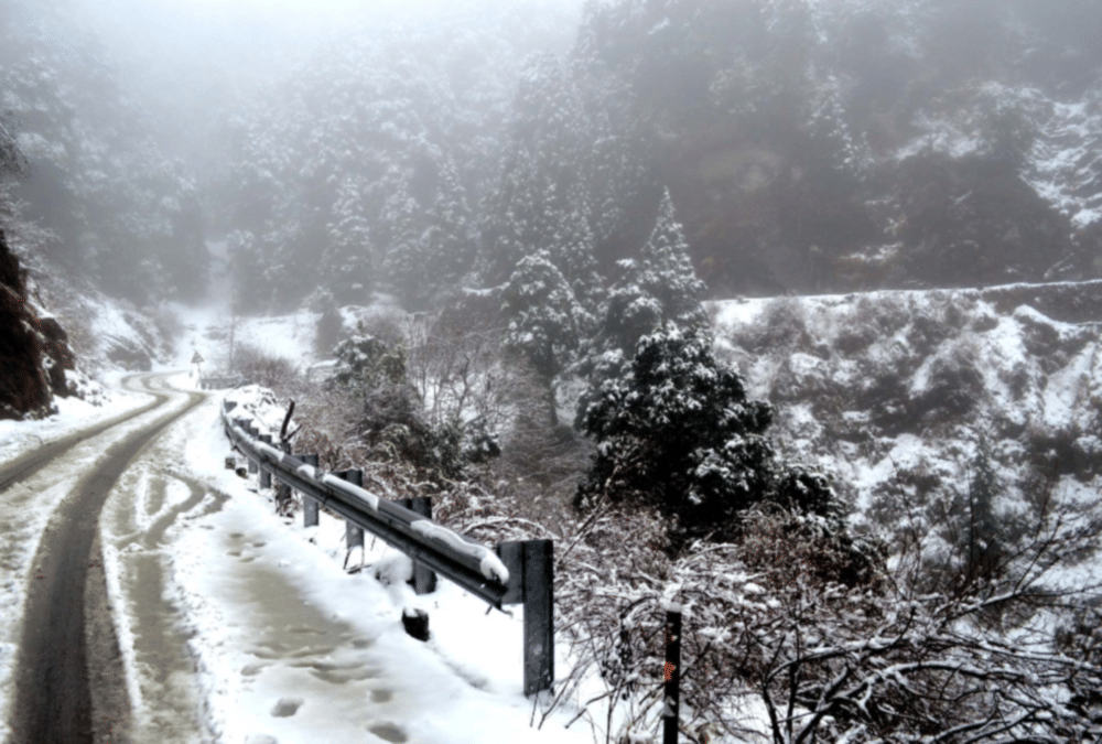 Snowfall In Mussoorie, Dhanaulti, nainital and Char dham Today, See Awesome visuals