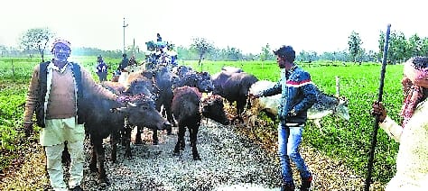 Deepak massacre: two families escaped due to threat of murderers