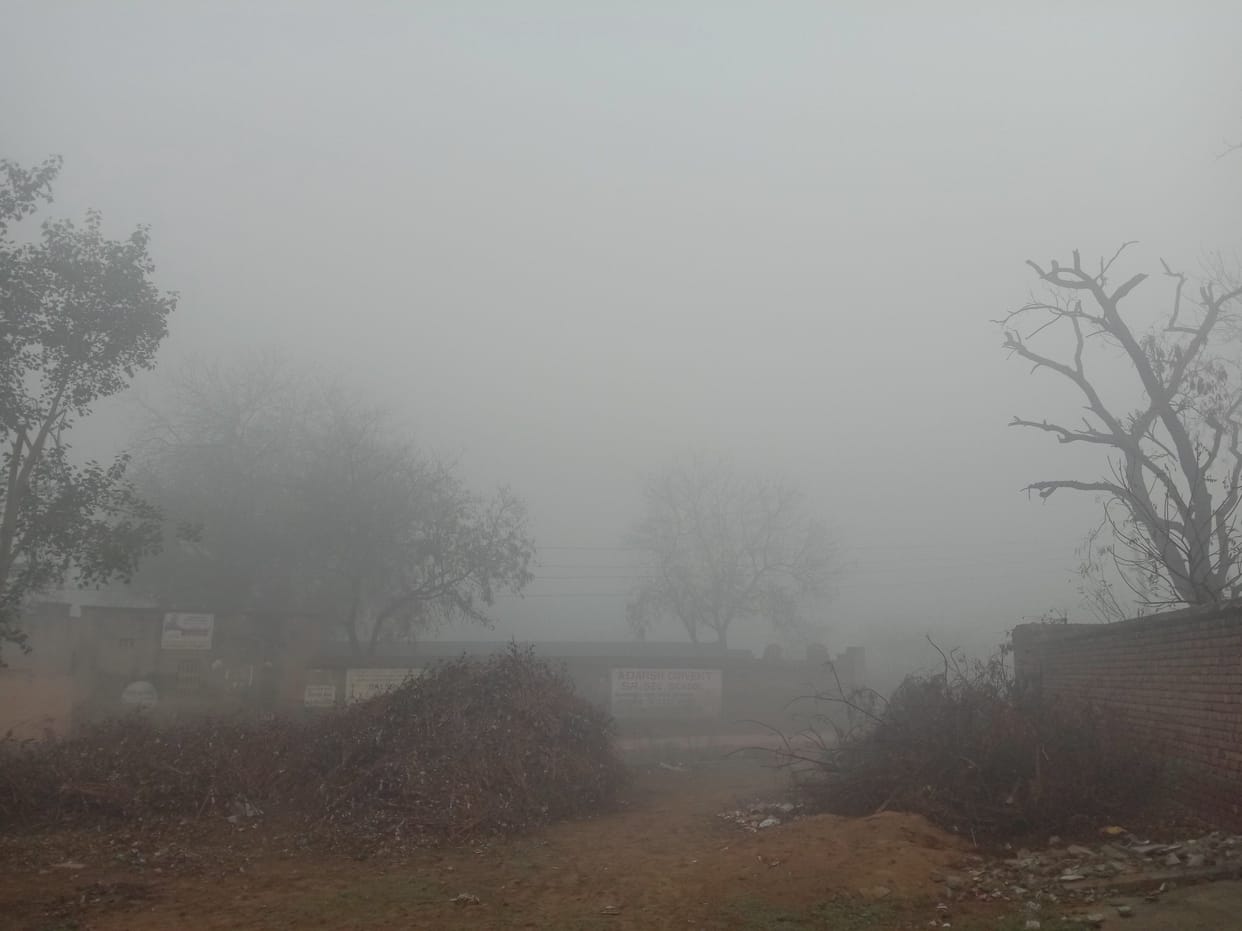 weather, fog, rain
