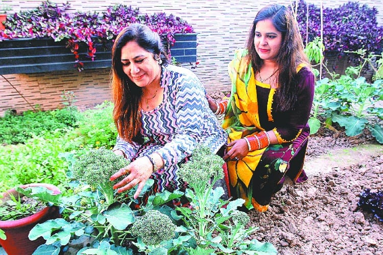 Tashan of Gardening in a Family, Environment Preservation