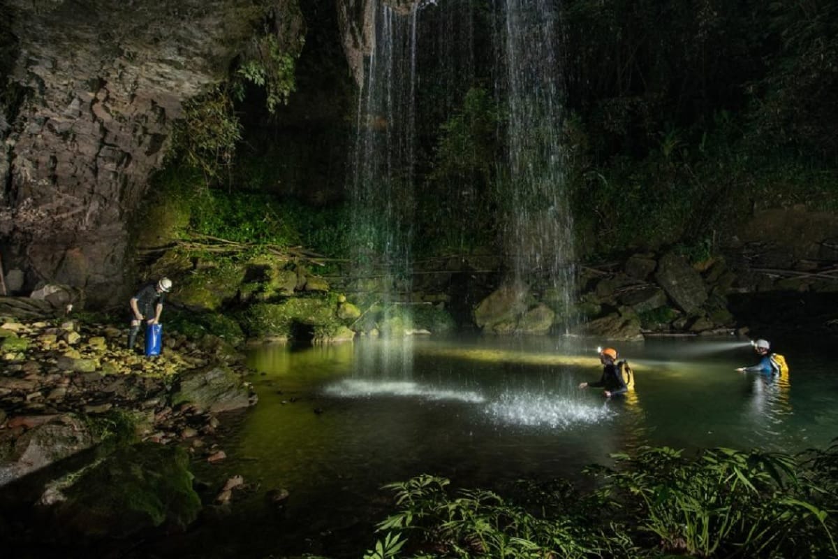 Biggest Cave fish in the world are in Krem Um Ladaw cave, photographs