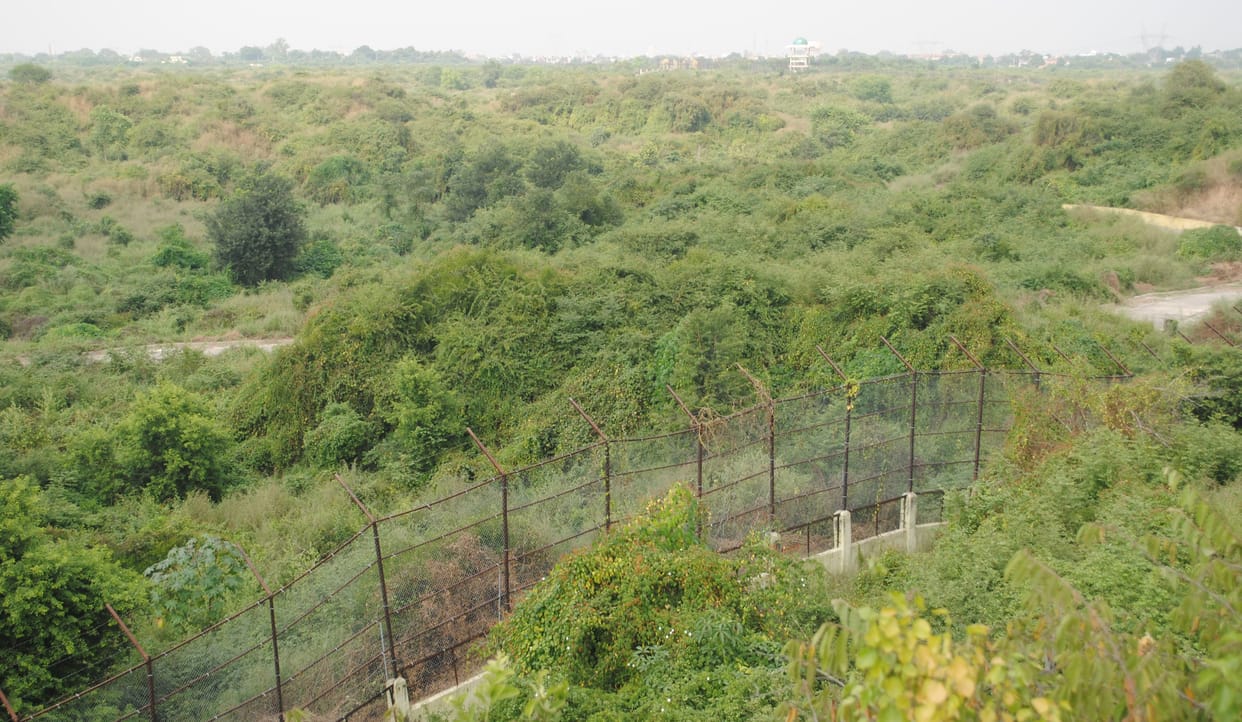 Full preparation, Leopard Safari will open after Lion