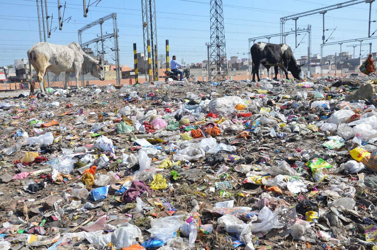 nagar parishad, tender, garbage