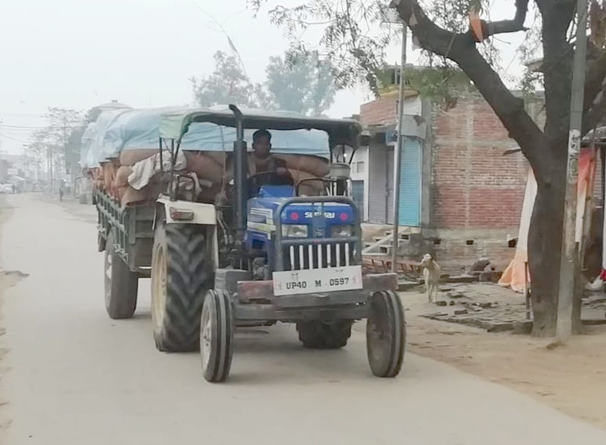 Pea smuggling from China through Nepal