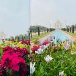 फूलों से महक उठा ताजमहल