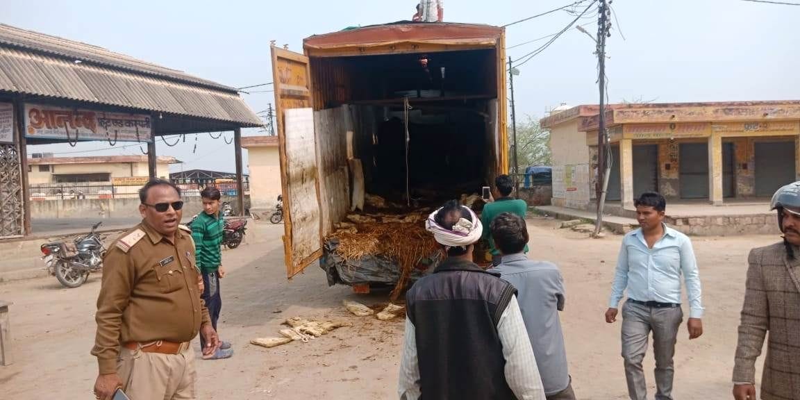 Hathras: Saadabad police caught a census full of cows on Yamuna Expressway, freed 18 bulls, left two dead