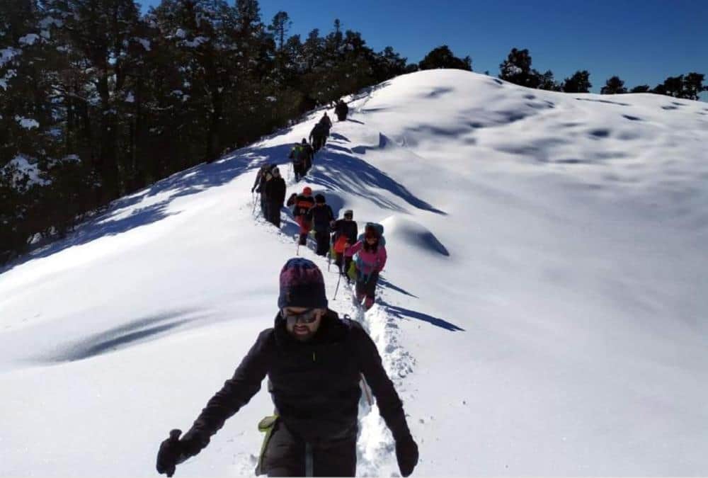 Tourist Like Snow Covered Brahmatal Trek For Trekking, See Awesome Visuals