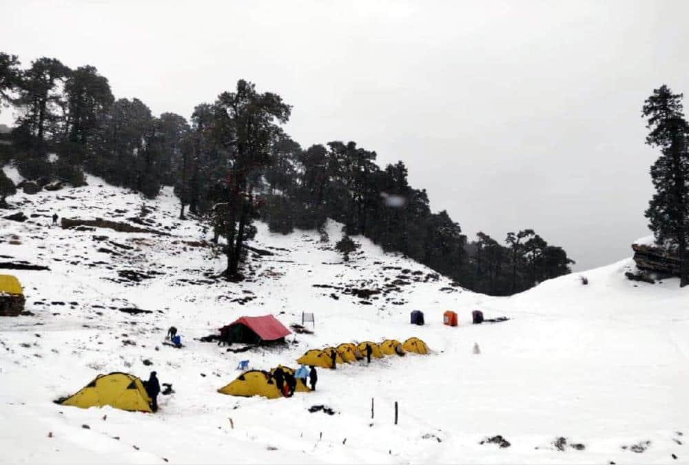 Tourist Like Snow Covered Brahmatal Trek For Trekking, See Awesome Visuals