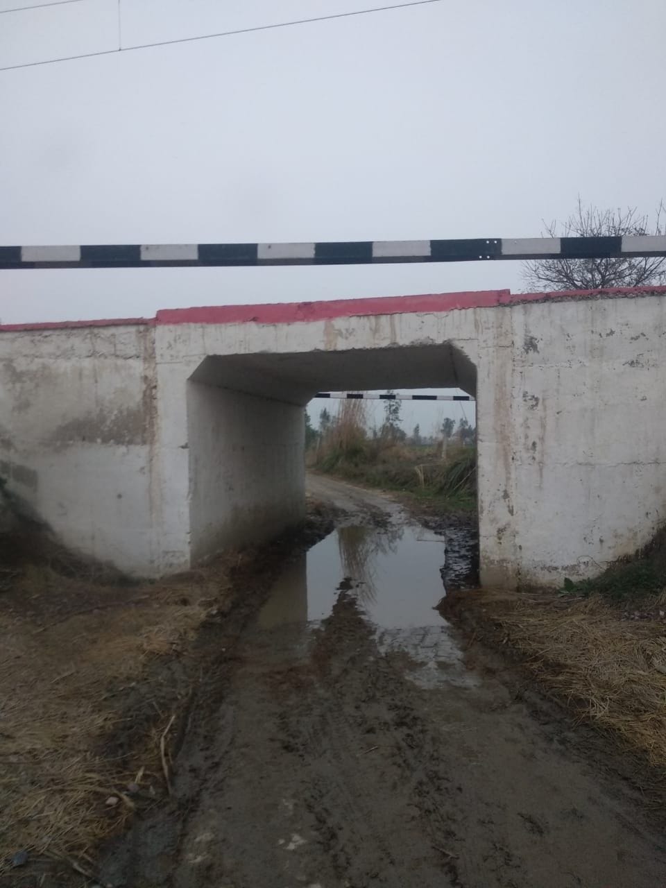 Elderly death hit by goods train