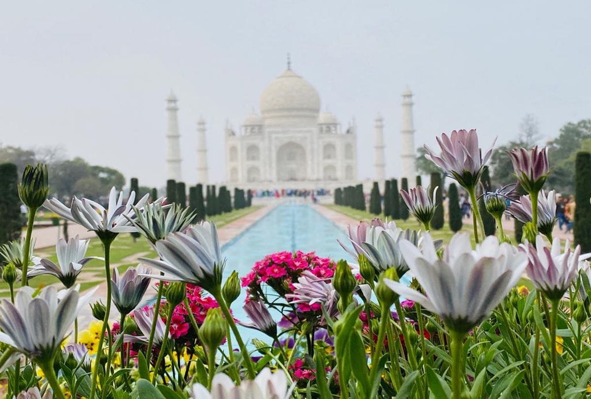 Taj Mahal Namaz After Long Time Due To Corona Virus