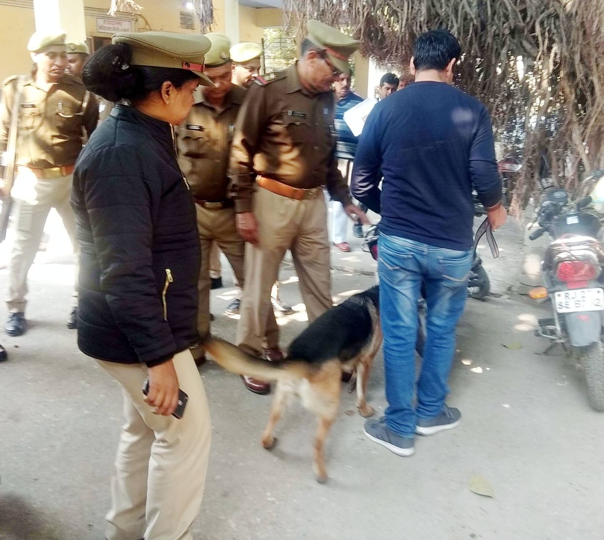 Checking campaign conducted in the court with Dog Squad