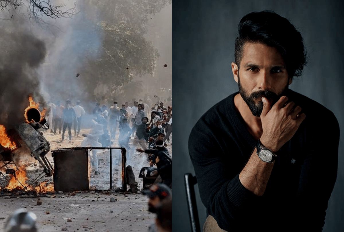 Bollywood Stars Reaction Delhi protest and Shahid Kapoor birthday entertainment news
