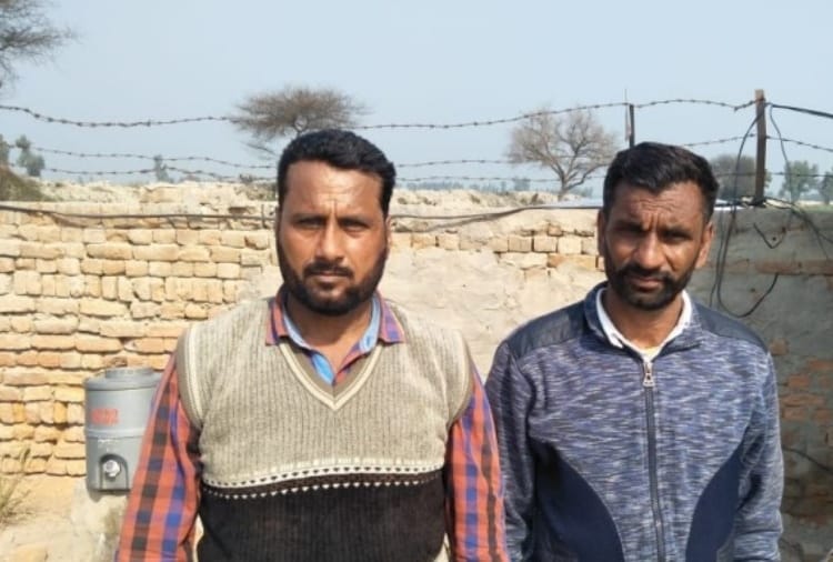 450 bag wheat loot from godown in firozpur
