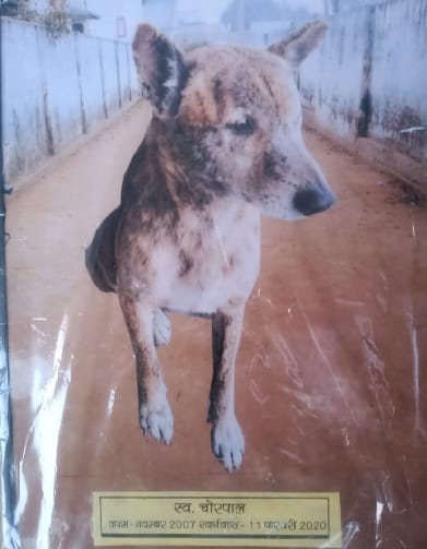Card distributed after the death of a pet dog in mirzapur