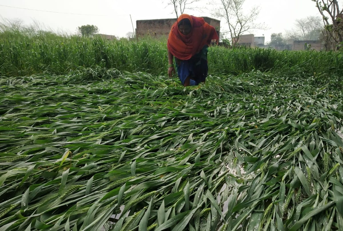 light rain start with cold wind in gorakhpur