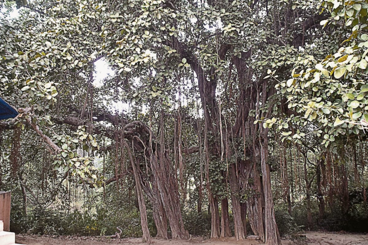 Mahabharata Circuit: Kuldevi of Pandavas blessing Hastinapur