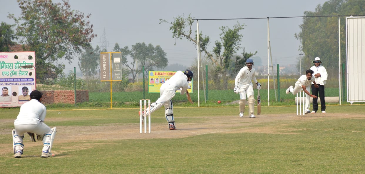 Cricket