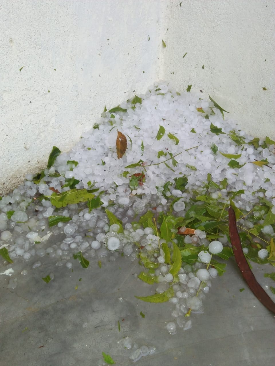 Sleet with rain, farmer trouble