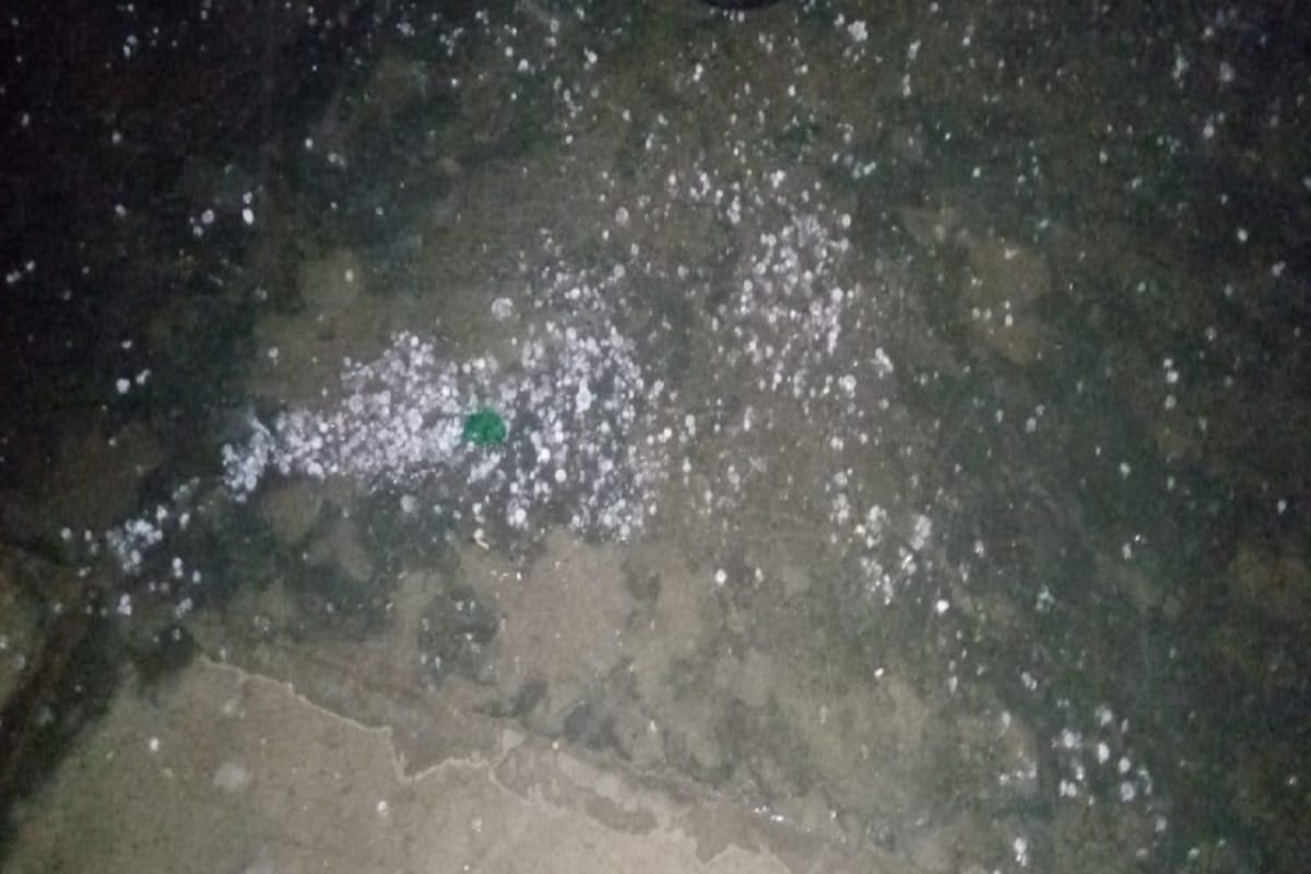 Damage to crops due to weather