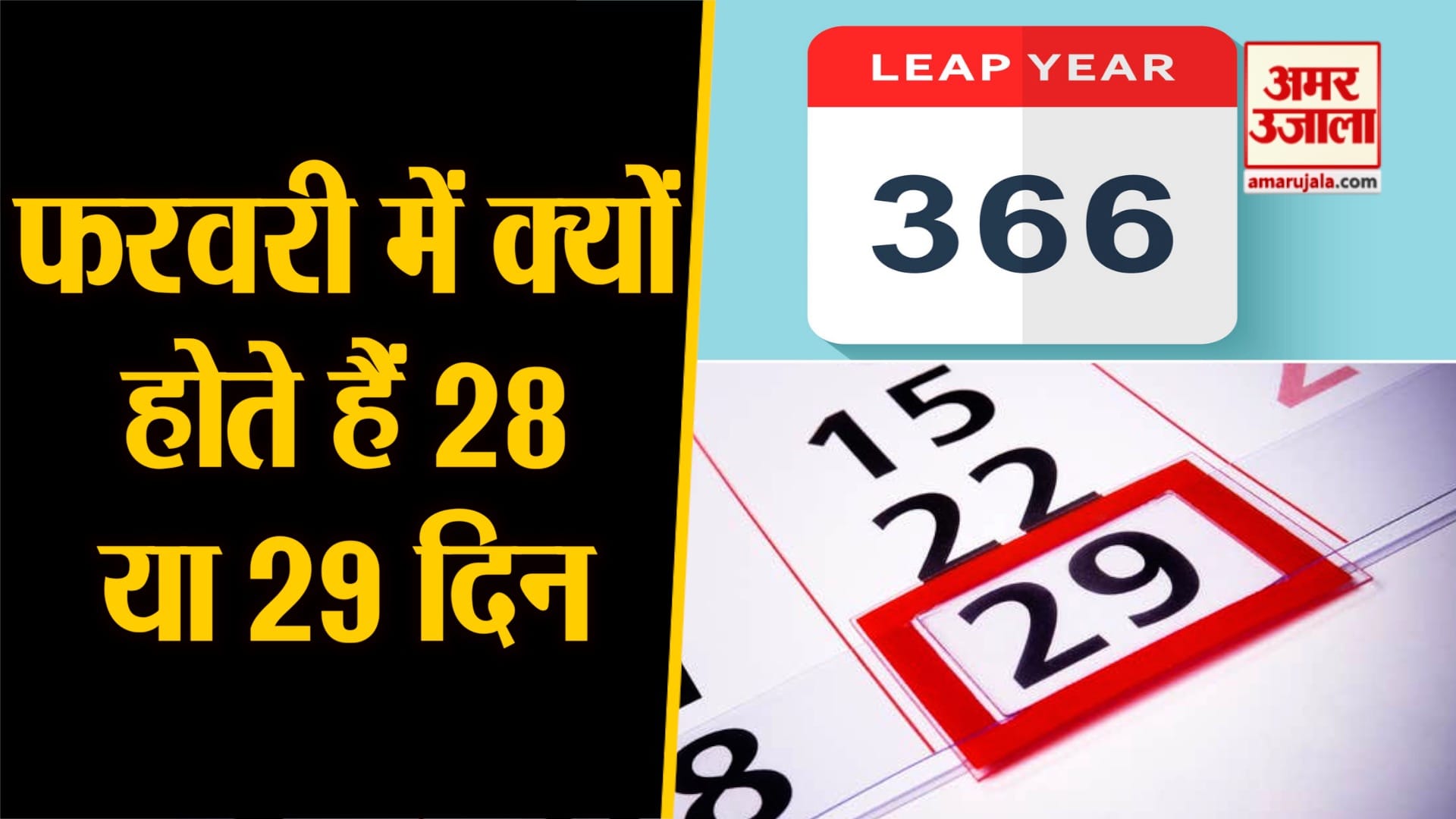 February 366 Days 2021 Happy Leap Day Leap Year Slogan Stock