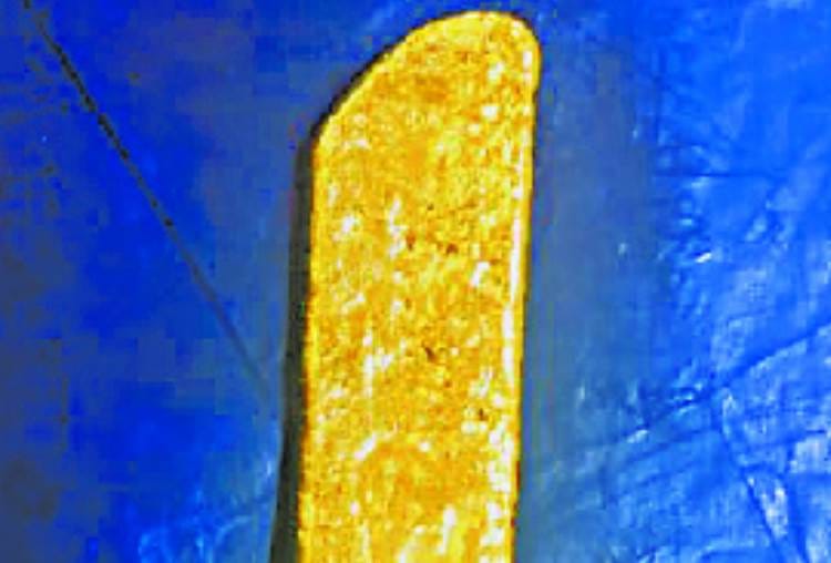 smuggler caught with 326 gram gold at amausi airport