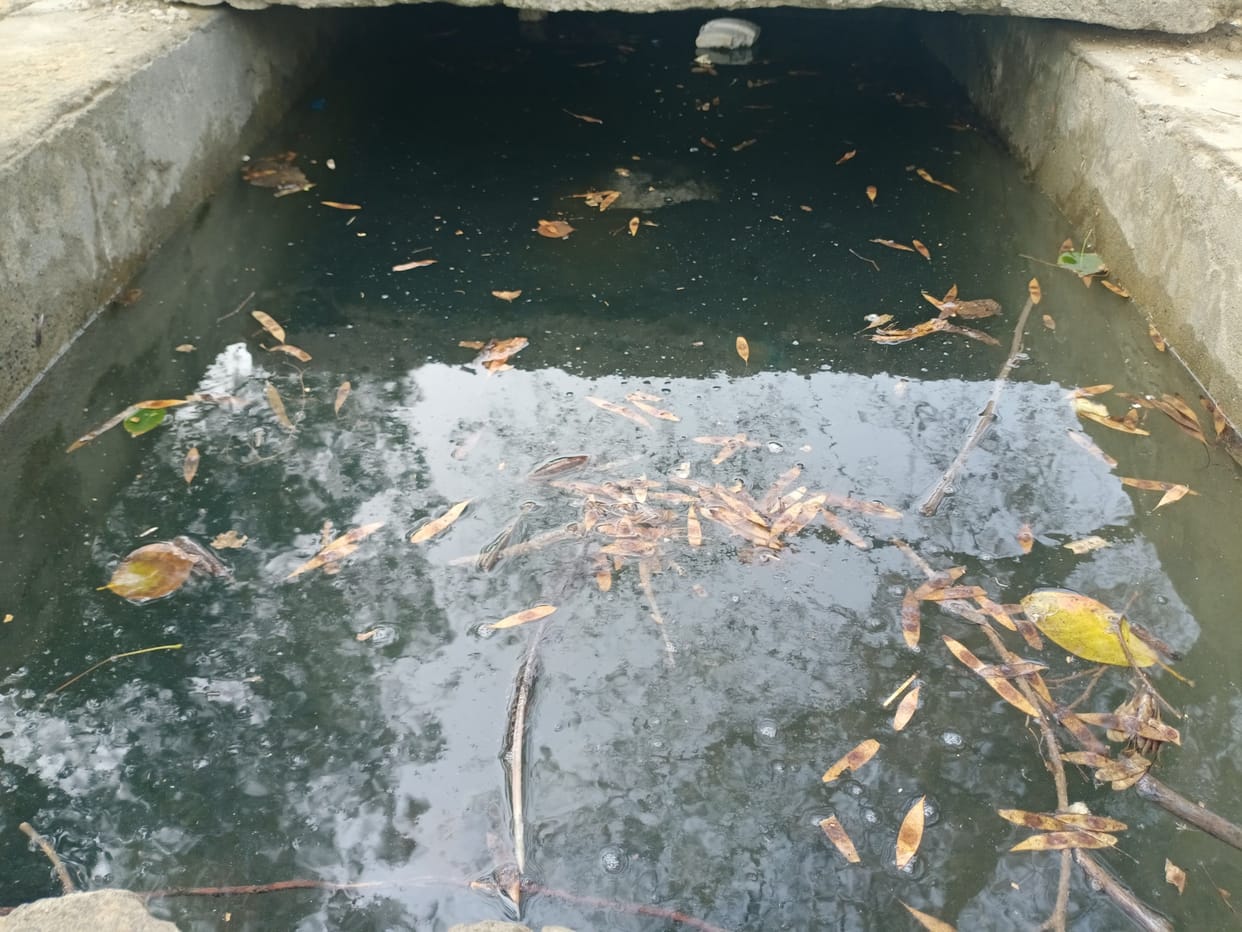 haluwas villege, water problem, people