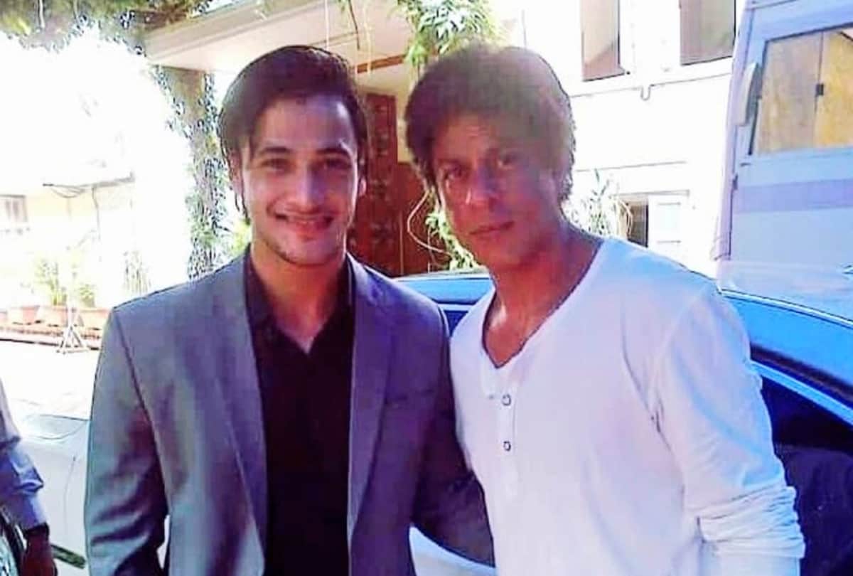 asim riaz worked with shah rukh khan and katrina kaif video viral