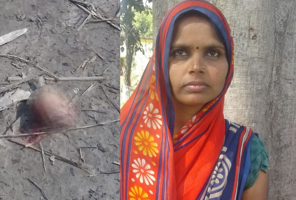 A woman cuts goon's thumb for looting her jewellery in Sitapur.
