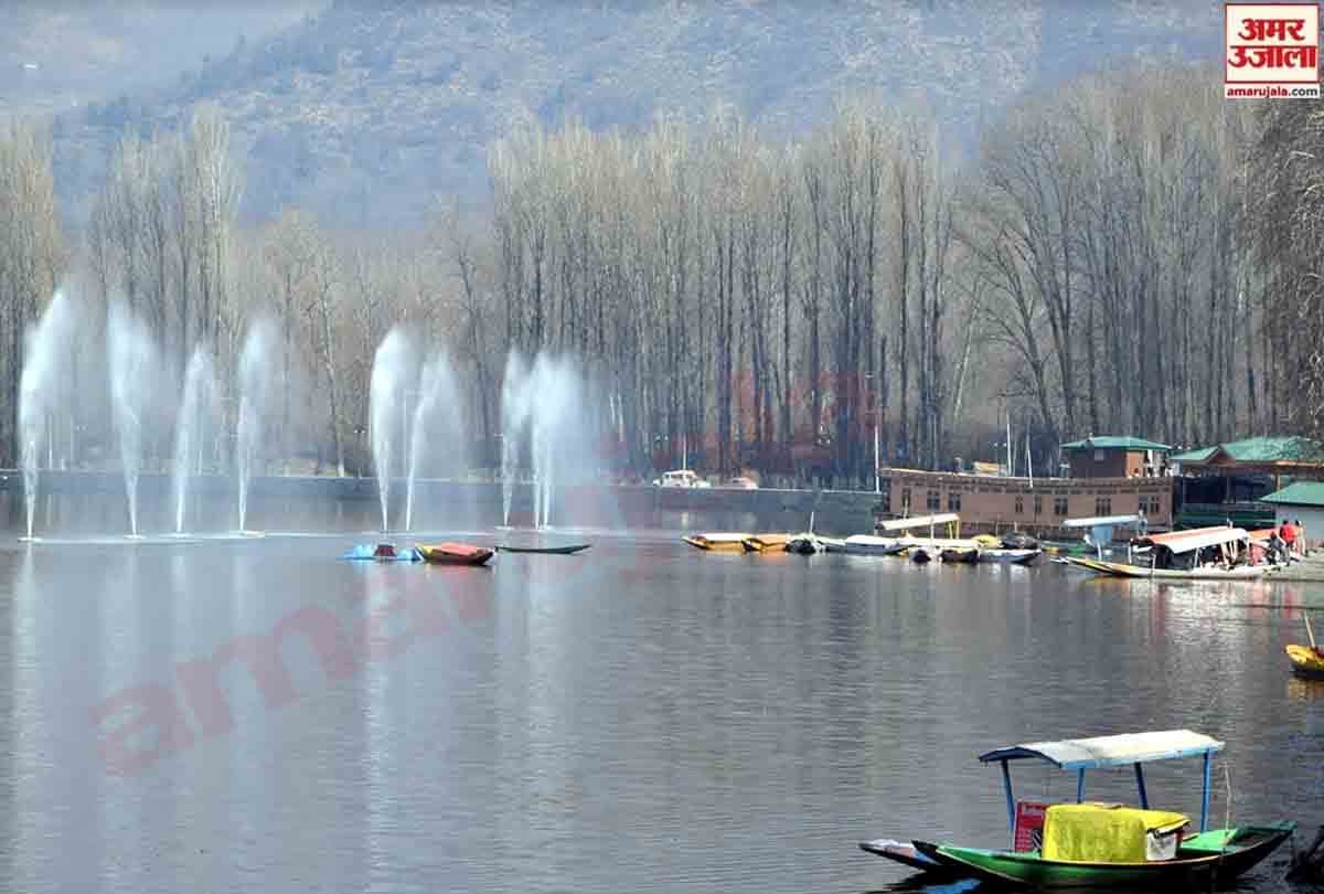 After the snowfall spring season is going to knock in Kashmir Valley