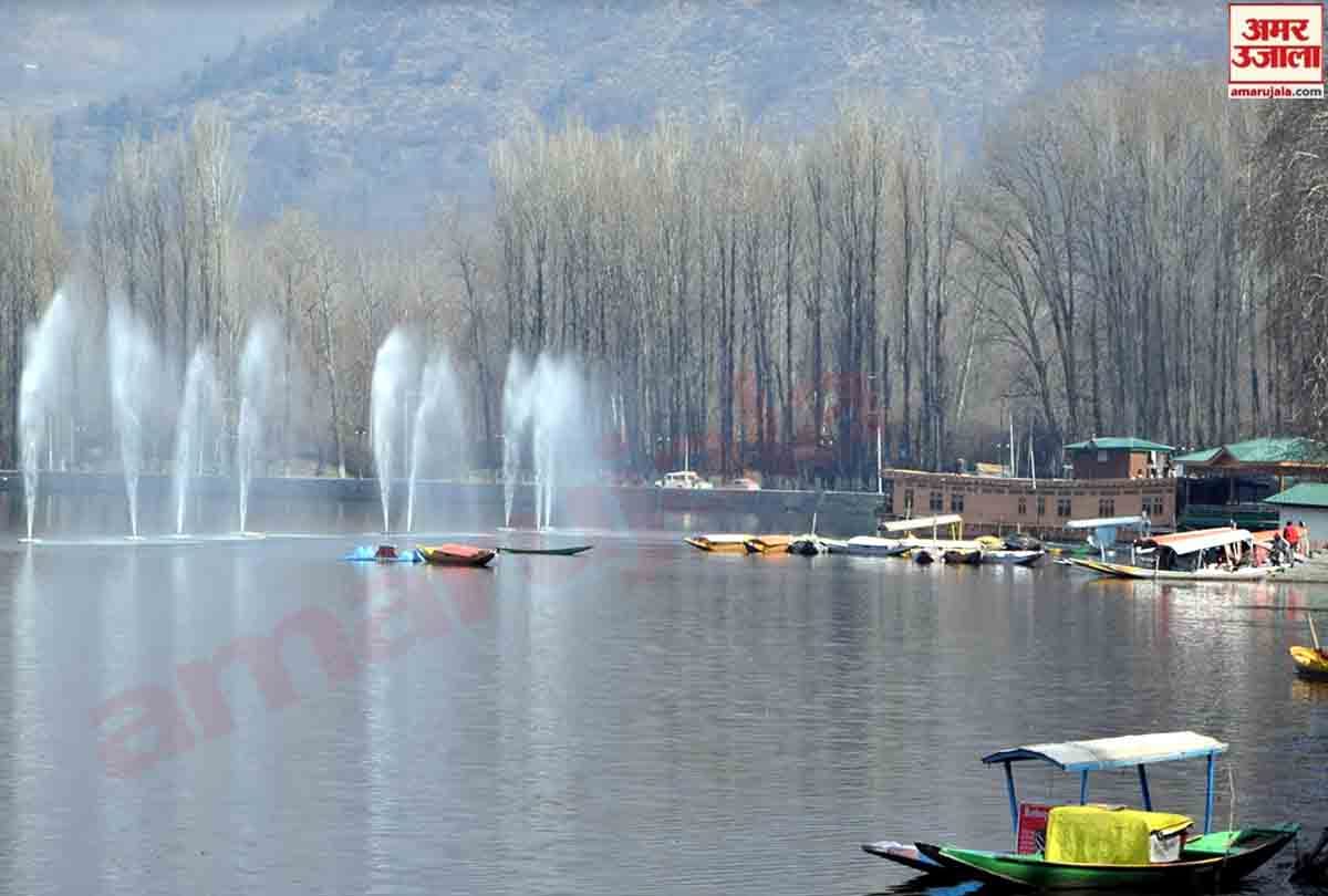 After the snowfall spring season is going to knock in Kashmir Valley