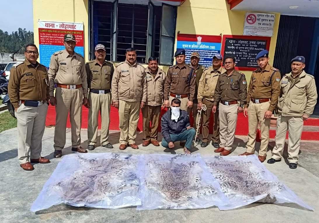 Ex-soldier arrested with three leopard skins