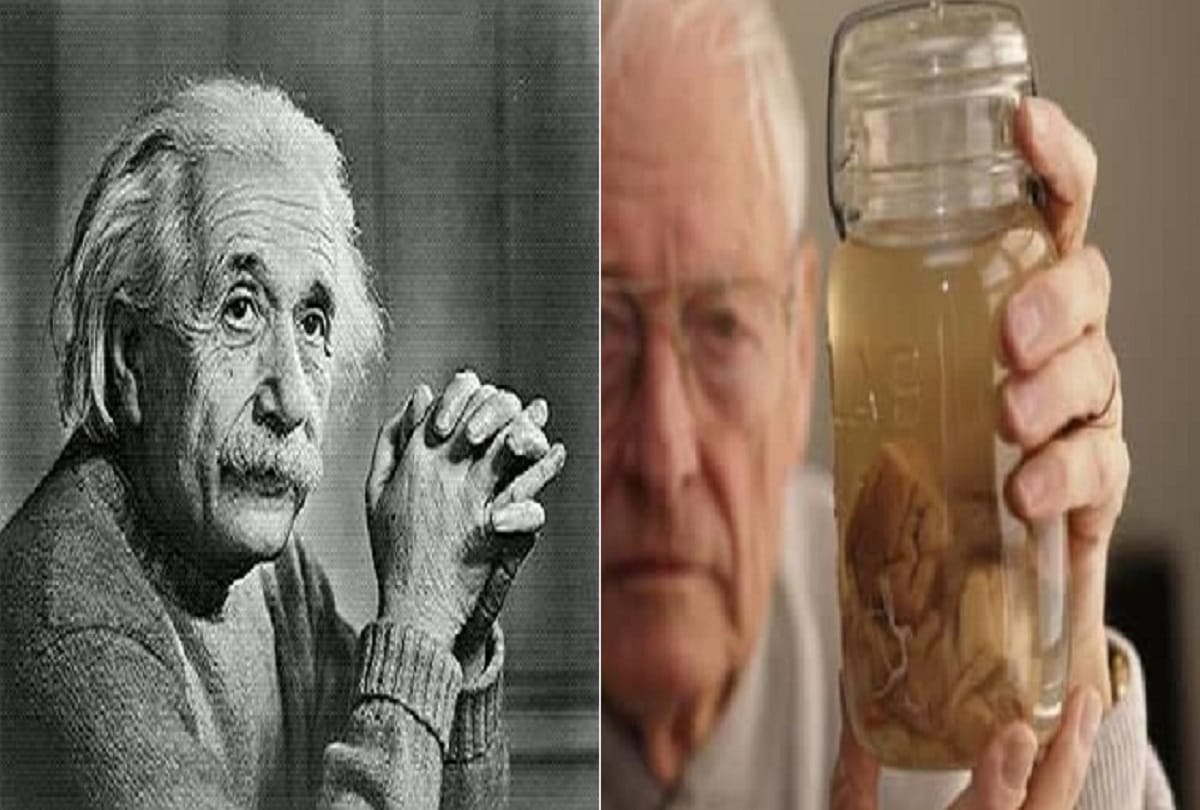 great scientists in the world whose body parts have been preserved till now