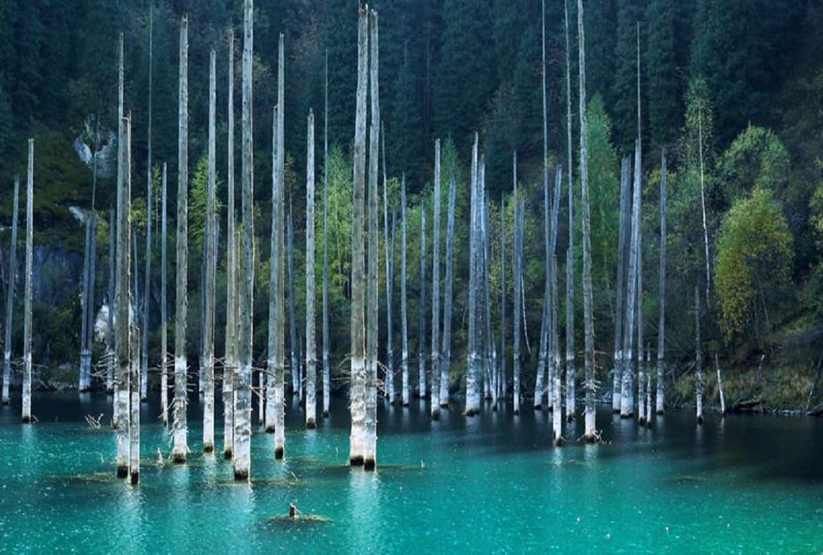The Sunken Forest of Lake Kaindy in Kazakhstan is a Ghostly Underwater Forest