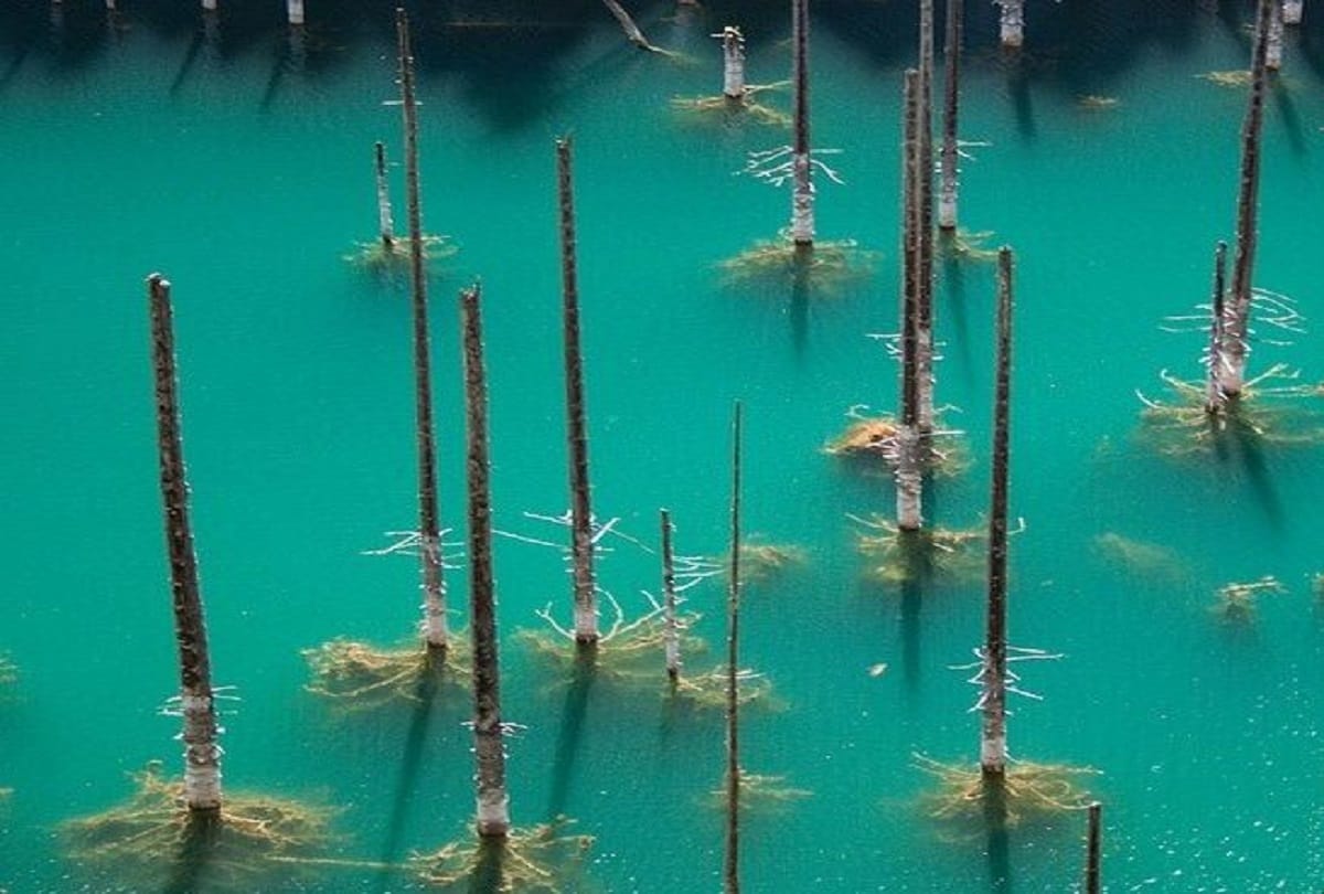 The Sunken Forest of Lake Kaindy in Kazakhstan is a Ghostly Underwater Forest