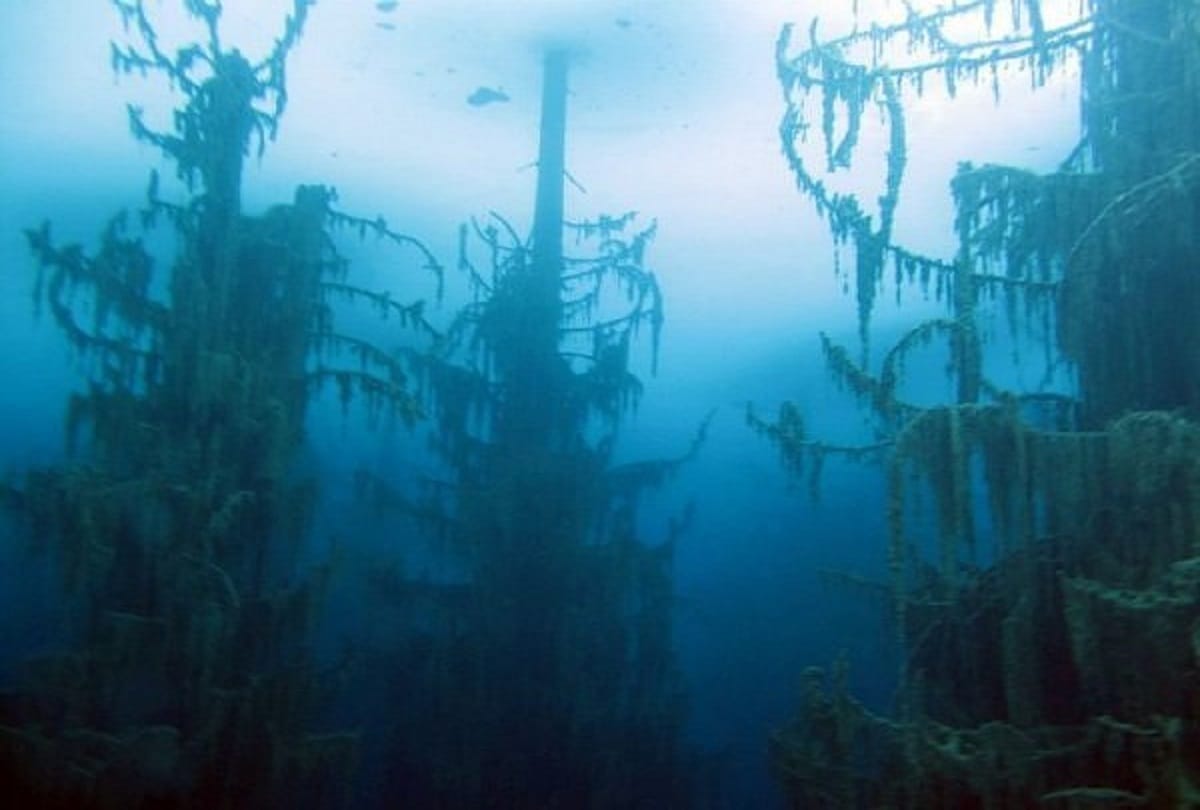 The Sunken Forest of Lake Kaindy in Kazakhstan is a Ghostly Underwater Forest