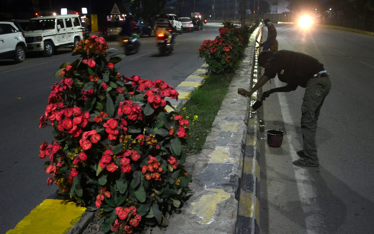 Flowers on dividers fed overnight at PM's reception in Prayagraj