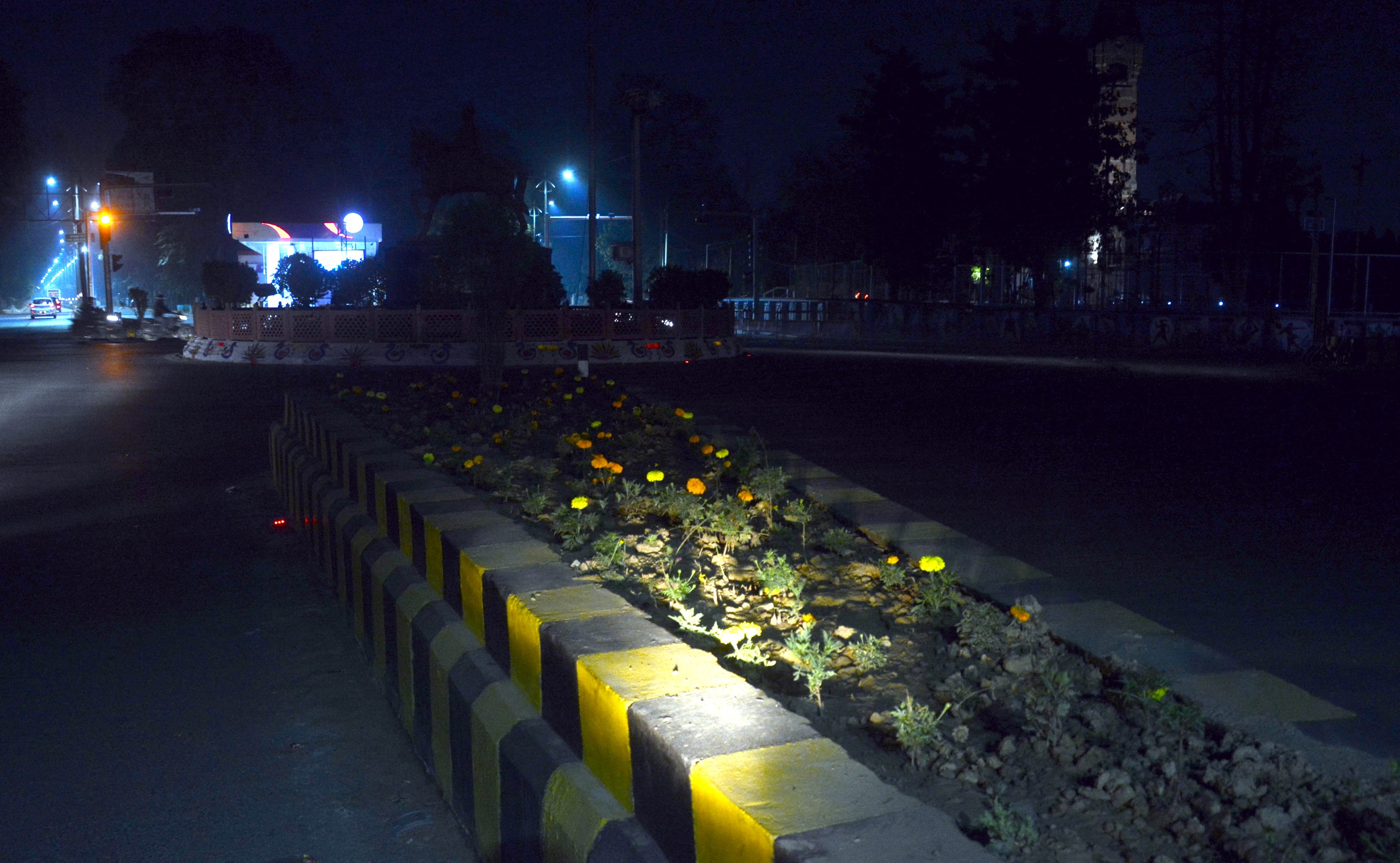 Flowers on dividers fed overnight at PM's reception in Prayagraj