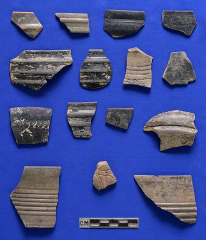 BHU archaeologist will explore copper stone culture in Khapura village near Ayodhya