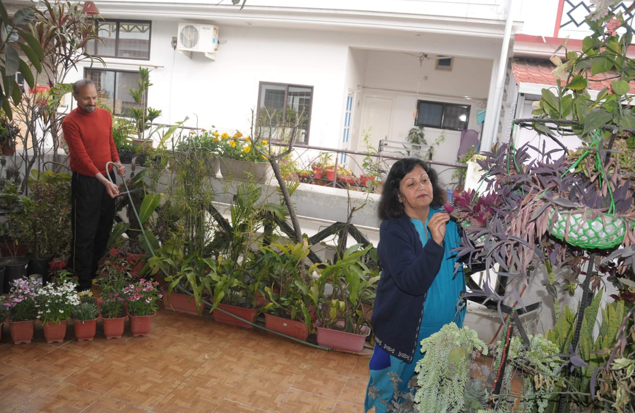 Attachment to plants occurred in childhood, still intact