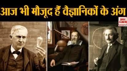 great scientists's body parts have been preserved till now