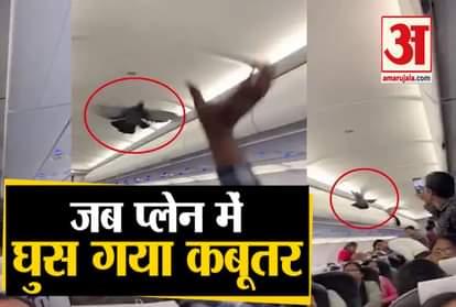 Pigeons entered inside flight before takeoff, video viral
