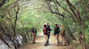 Forest Department will save green trees from hires