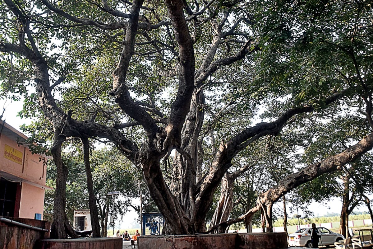 Mahabharata Circuit: Parikshitgarh, which narrates historical story of the beginning of kalyug