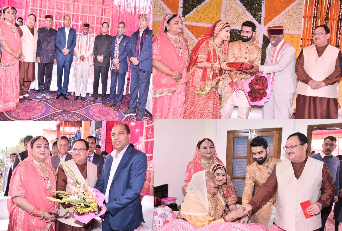 himachal governor and cm remain present in jp nadda's son wedding reception organized at bilaspur
