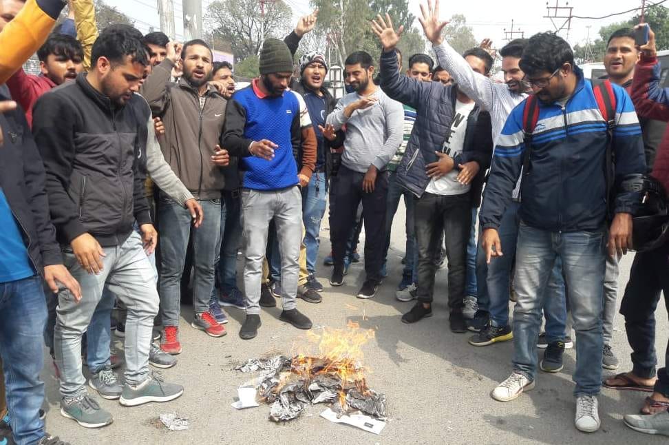 The agitated unemployed burned copy of degrees