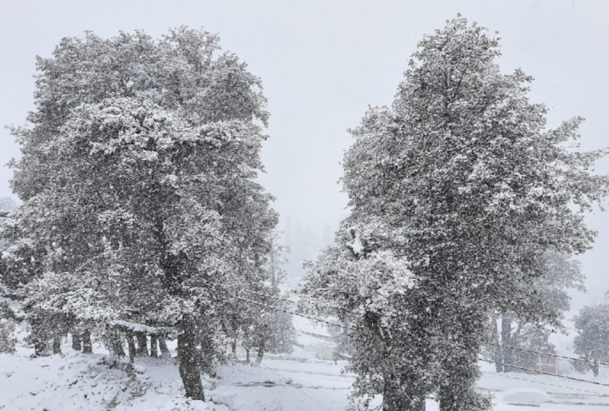 fresh snowfall and rainfall recorded in himachal, tourist in kufri and manali