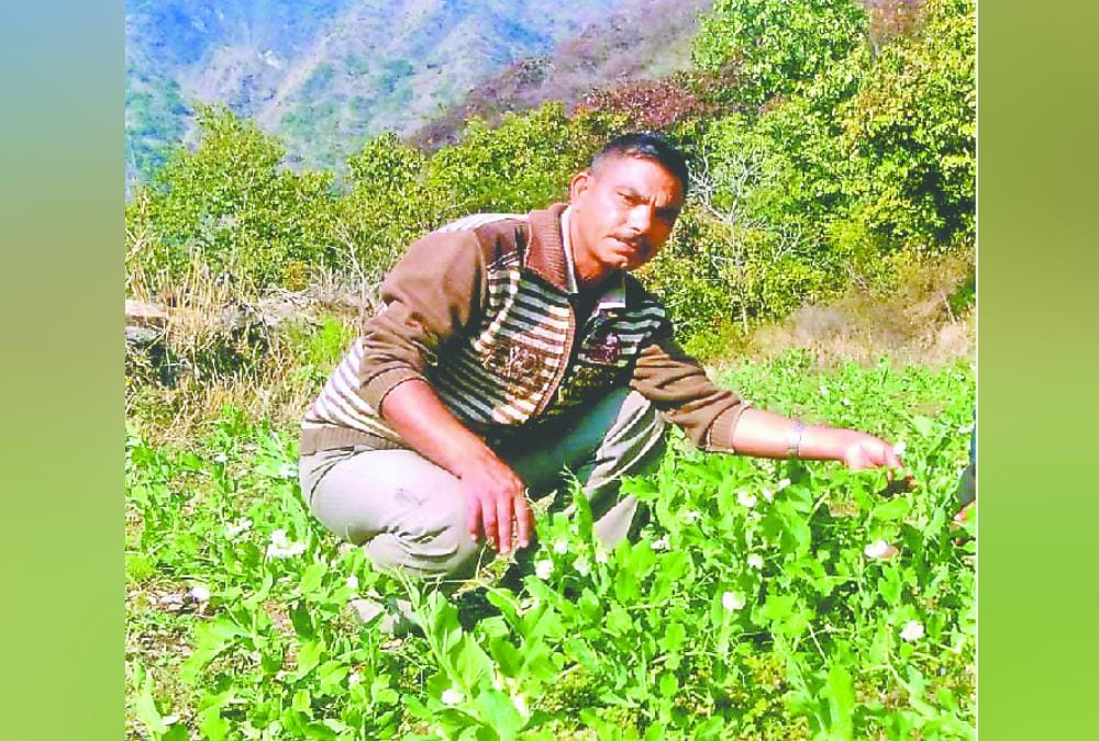 Ex Army soldier Doing Farming on Barren land and Build Big business in uttarakhand