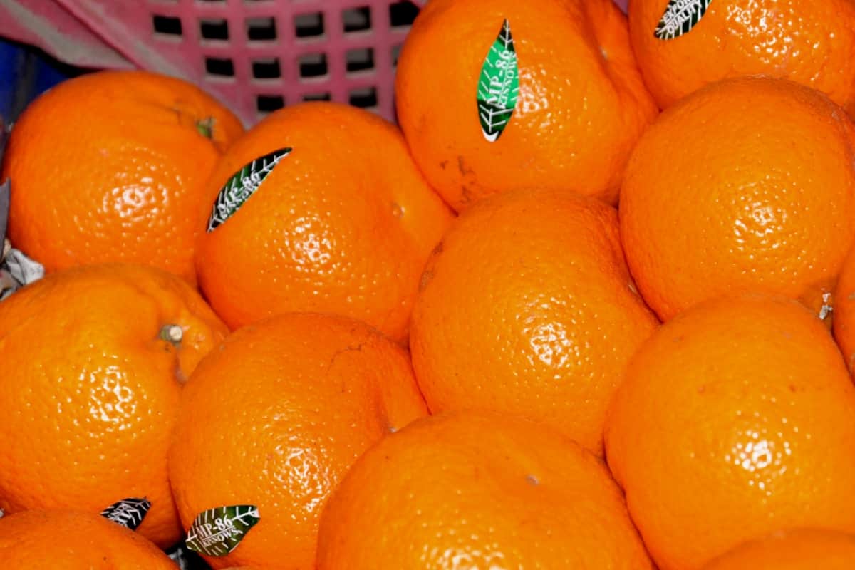 Be careful if fruits has a sticker upon it, FSSAI issued advisory
